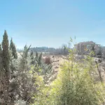 Dune Sunny Beach